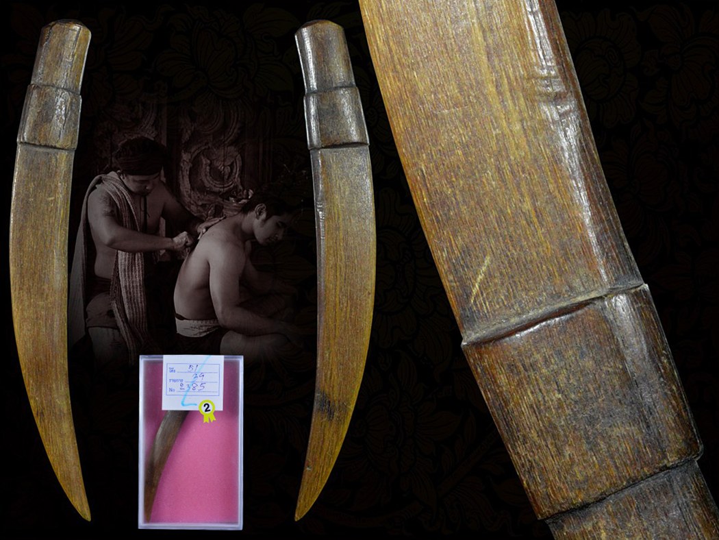 มีดแหกเขาควายเผือกล้านนา เขาควายอาถรรพ์