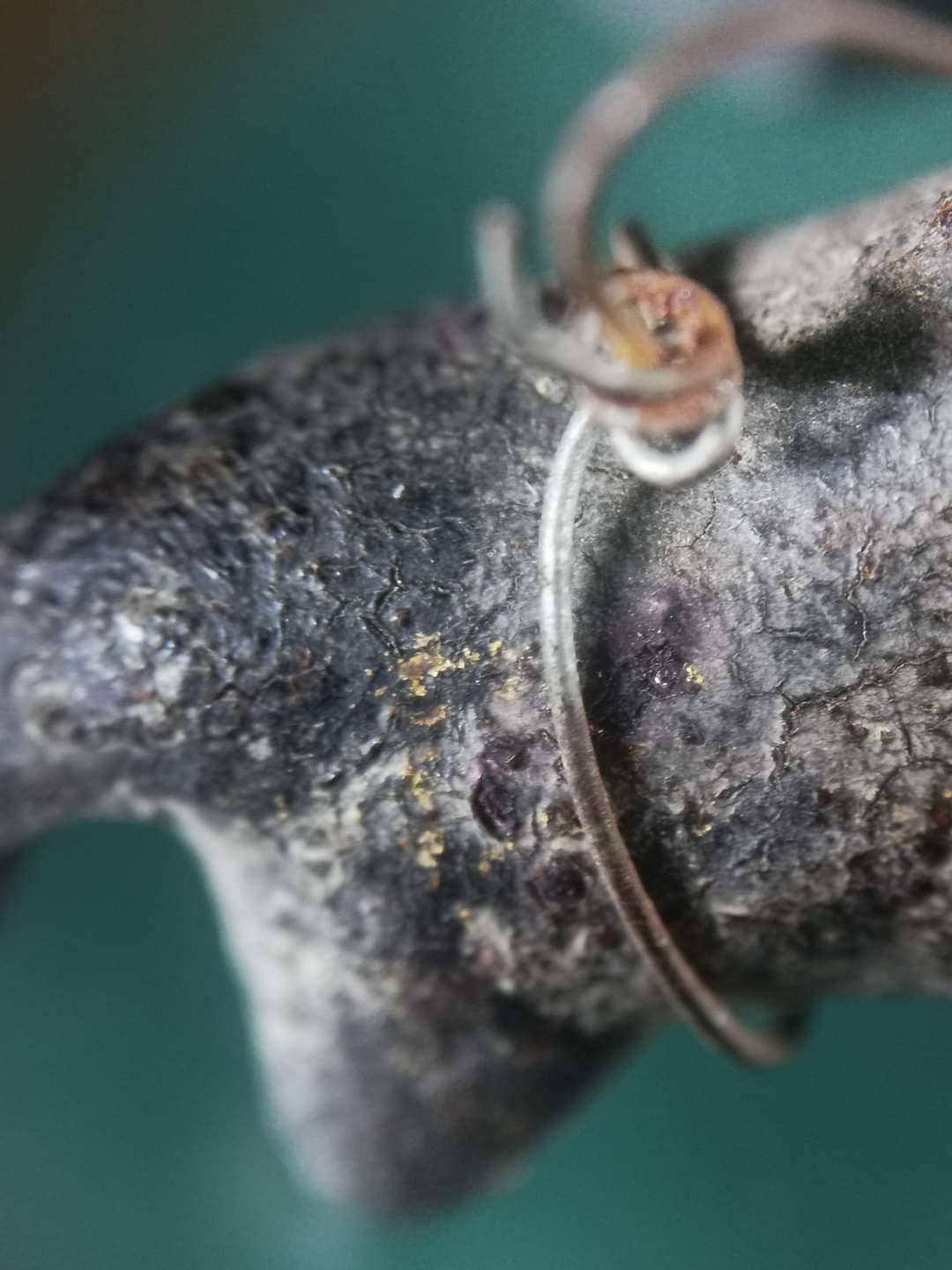 วัวธนู หลวงพ่อน้อย วัดศีรษะทอง