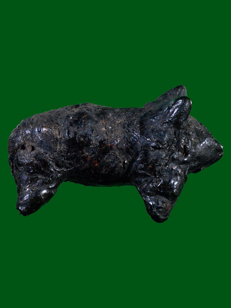 วัวธนูล้านนา เนื้อคลั่งโบราณ