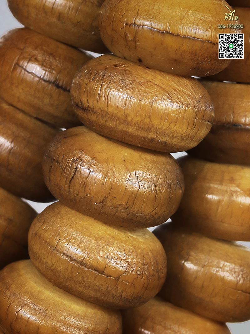 ประคำหวายลูกลานครูบาชัยวงศ์ เส้นใหญ่