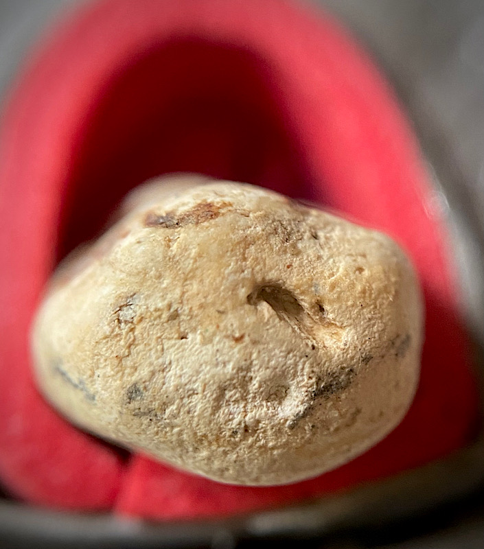 ชิ้นส่วนวัดพลับ