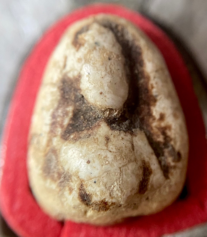 ชิ้นส่วนวัดพลับ