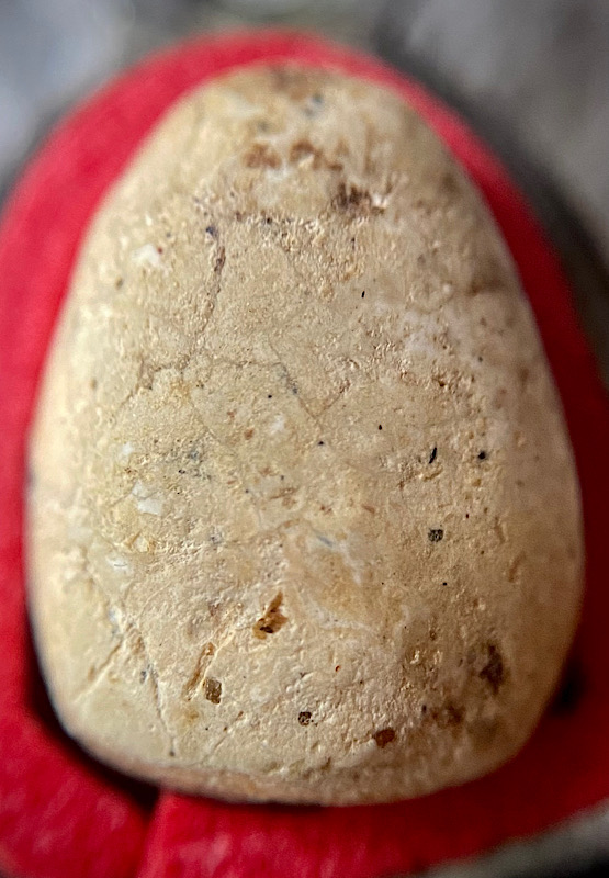 ชิ้นส่วนวัดพลับ