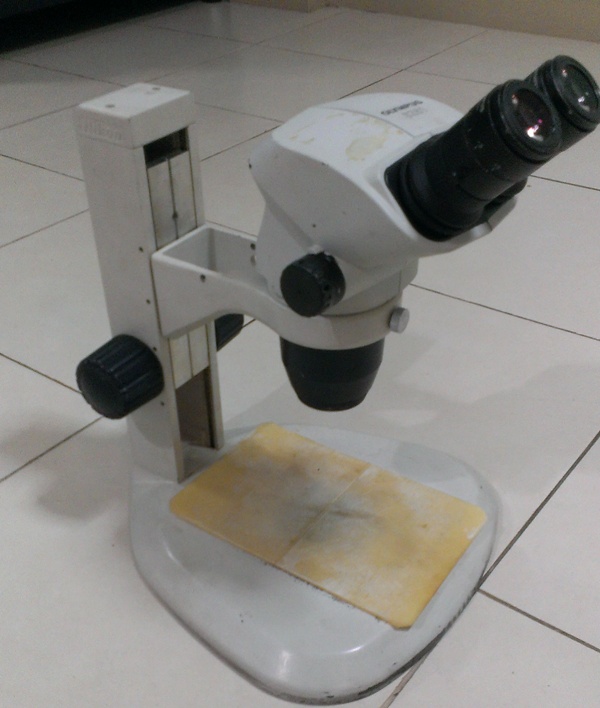 ขายกล้อง low power microscope