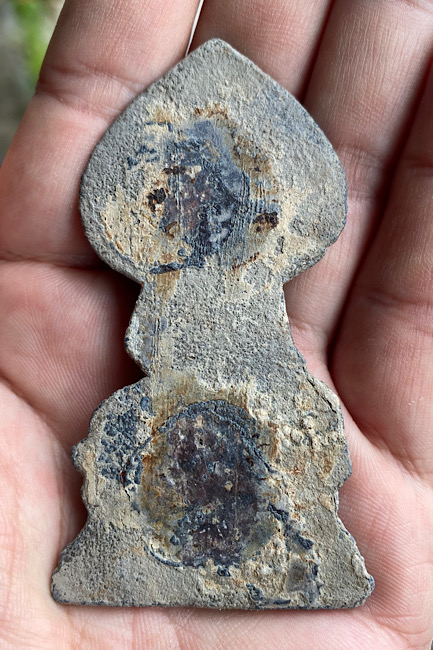 พระเชียงแสนปรกโพธิ์ใหญ่บัวเล็บช้าง(นิยม)