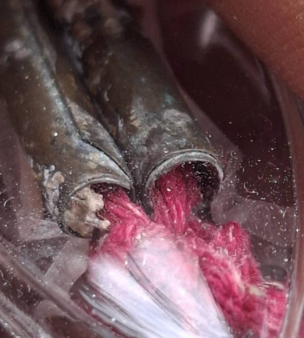 ตระกรุตจำปาสี่ต้น ครูบาวัง วัดบ้านเด่น 