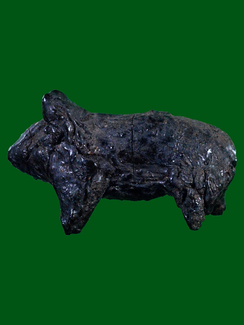 วัวธนูล้านนา เนื้อคลั่งโบราณ