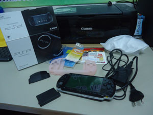 psp 3006 