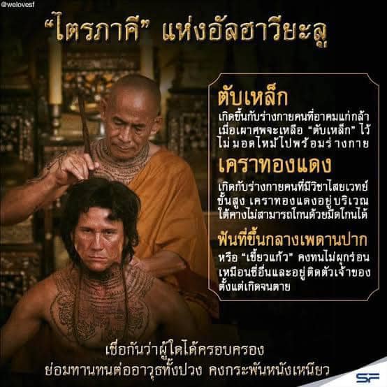 ตับทองแดง หรือตับเหล็ก 