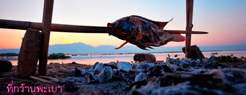 แวะพะเยา เชิญชิมเหมี้ยงปลาเผาที่ "ลำแต้ลำว่าปลาเผา"
