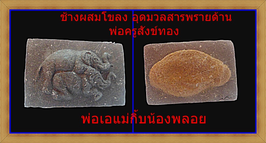 ช้างผสมโขลง สุดยอดมหาเสน่ห์ อุดมวลสารด้านหลัง