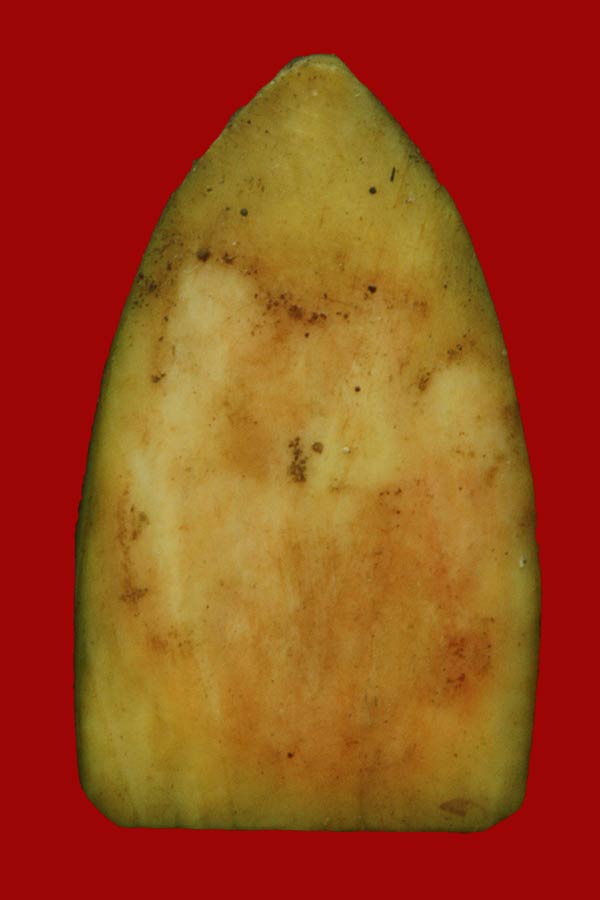 นางกวักงาแกะ