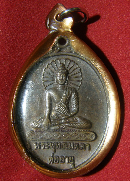 เหรียญพระพุทธเมตตา ต่ออายุ หลวงพ่อประสิทธิ์ ปุญญมากโร วัดป่าหมู่ใหม่