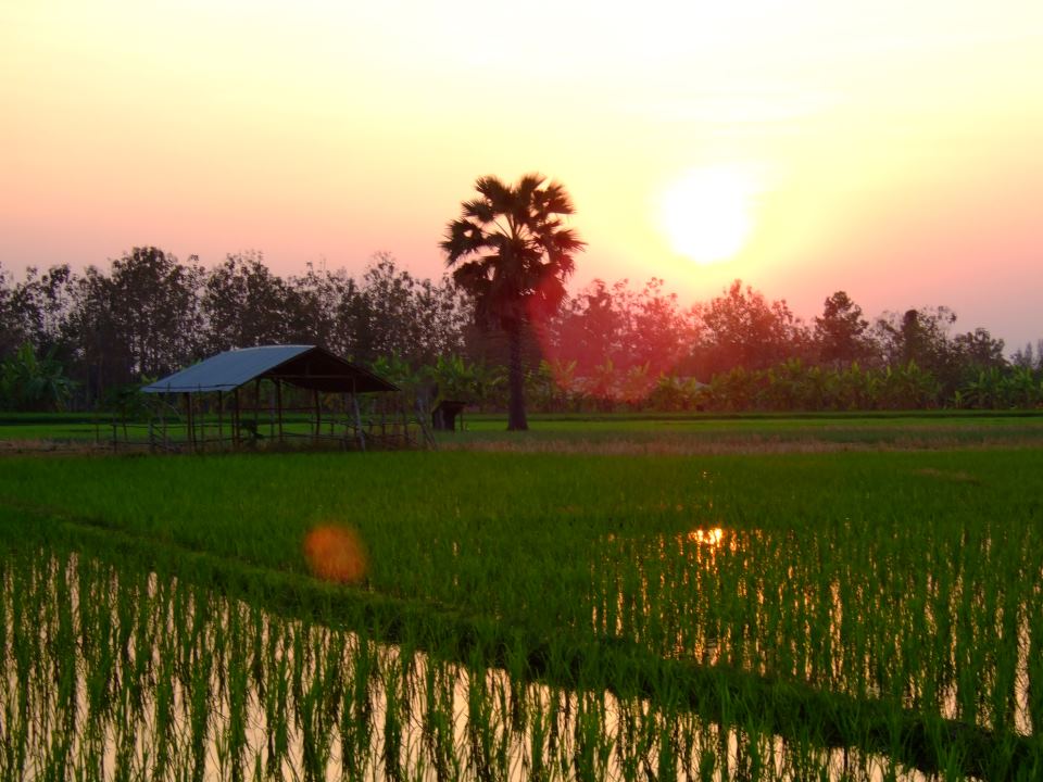 รับแปลตั๋วเมือง(ล้านนา)ครับ